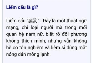 Edit Xuyên Sách Sau Khi Nữ Cải Nam Trang Tôi Cầm Kịch Bản Nam Chính
