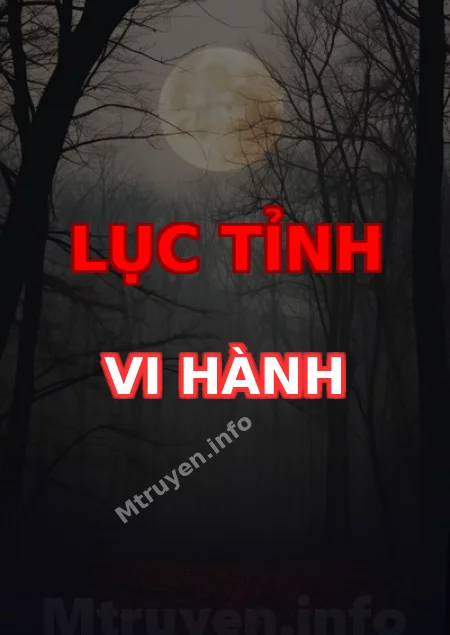 Lục Tỉnh Vi Hành