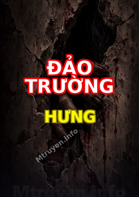 Đảo Trường Hưng