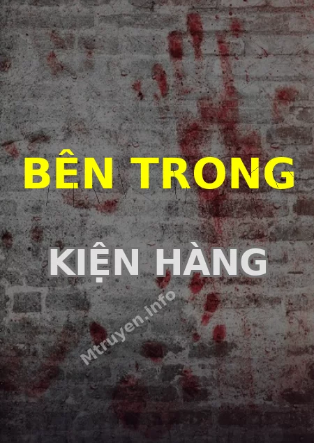 Bên Trong Kiện Hàng