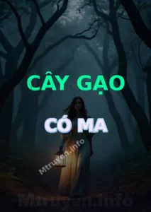 Cây Gạo Có Ma