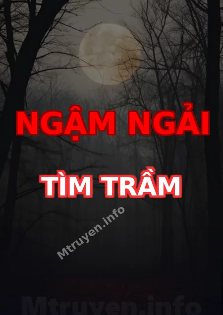 Ngậm Ngải Tìm Trầm