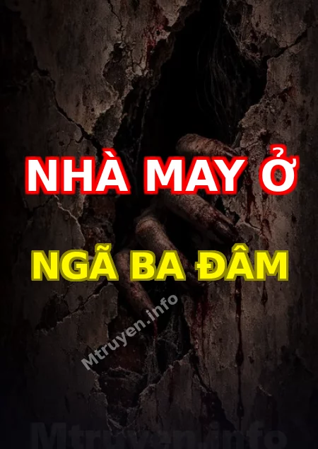 Nhà May Ở Ngã Ba Đâm