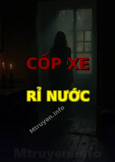 Cốp Xe Rỉ Nước