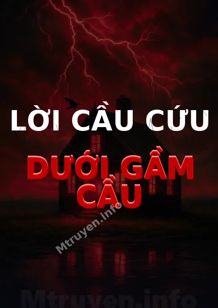 Lời Cầu Cứu Dưới Gầm Cầu