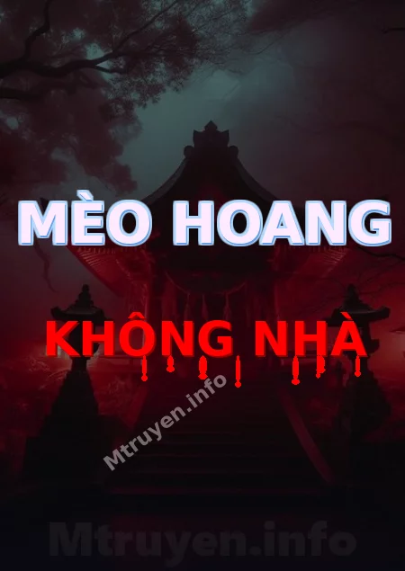 Mèo Hoang Không Nhà