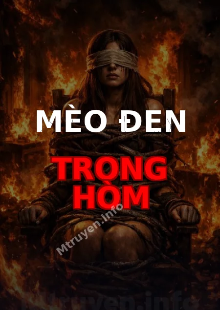 Mèo Đen Trong Hòm