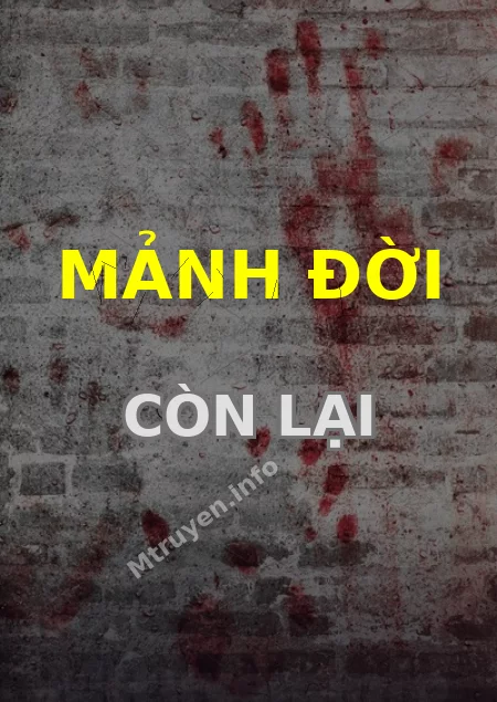 Mảnh Đời Còn Lại