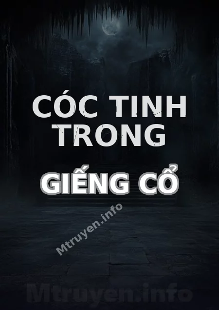 Cóc Tinh Trong Giếng Cổ