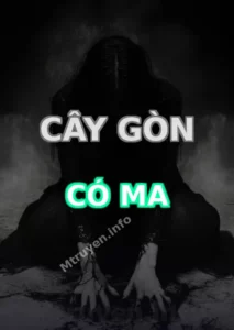 Cây Gòn Có Ma