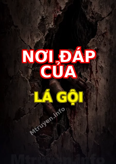 Nơi Đáp Của Lá Gội