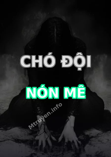 Chó Đội Nón Mê