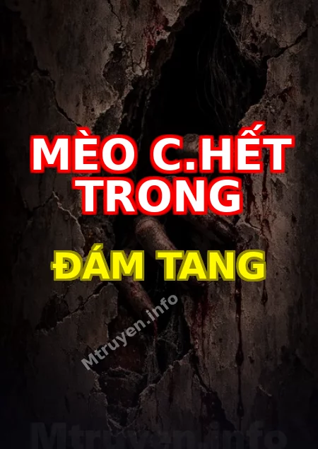 Mèo C.hết Trong Đám Tang