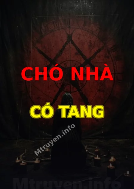 Chó Nhà Có Tang