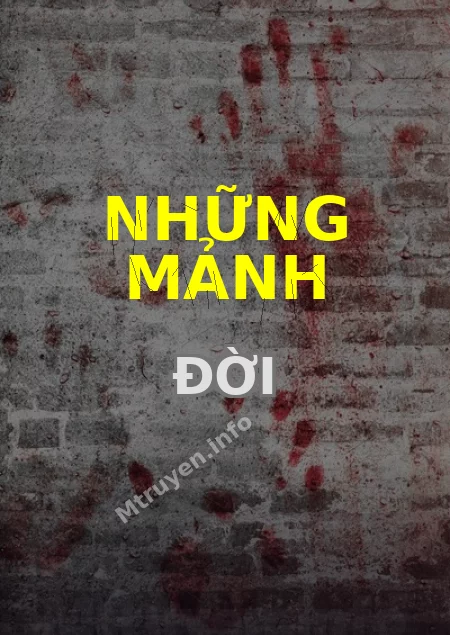 Những Mảnh Đời