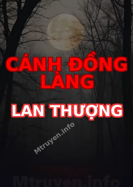 Cánh Đồng Làng Lan Thượng